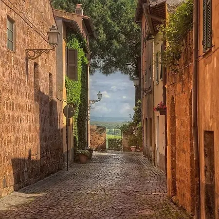 לינה וארוחת בוקר Di Mirandolina